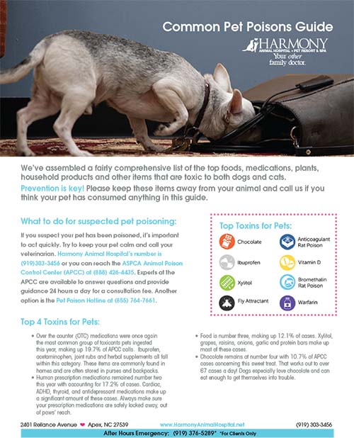Poison Prevention Guide, Harmony Animal Hospital