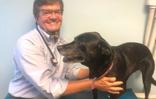 Dr. Charles examining Gretel, a senior pet