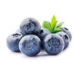 Can dogs eat blueberries? Can dogs eat blueberries?