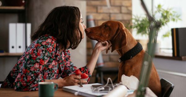 How to Feed Your Dog Fruit