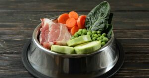 bowl of healthy food for dogs
