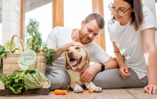 What vegetables can dogs eat?