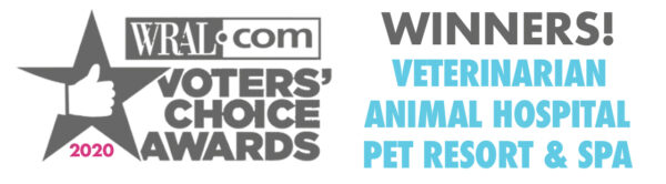 Apex, NC Veterinarians | Animal Hospital | Harmony Animal Hospital % Apex, NC Veterinarians | Animal Hospital | Harmony Animal Hospital %