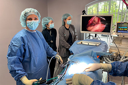 Dr. Molly Performs Laparoscopic Surgery