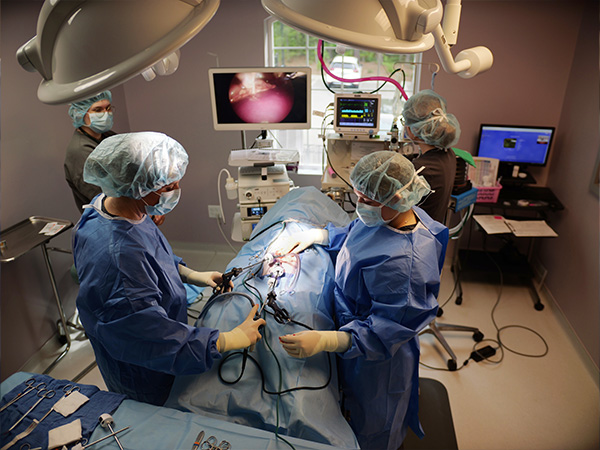 Dr. Molly Performs Laparoscopic Surgery