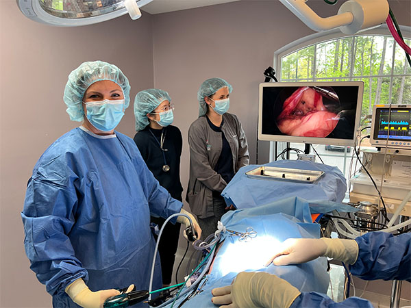 Dr. Molly Performs Laparoscopic Surgeryjpg