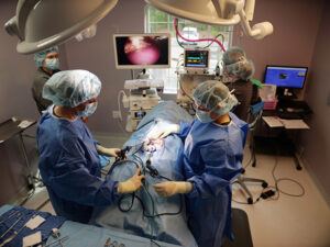 Dr. Molly Performs Laparoscopic Surgery