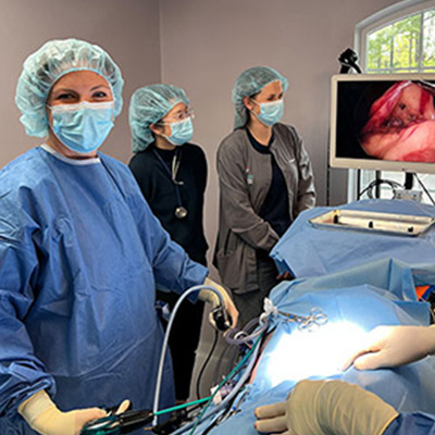 Dr. Molly Performs Laparoscopic Surgery