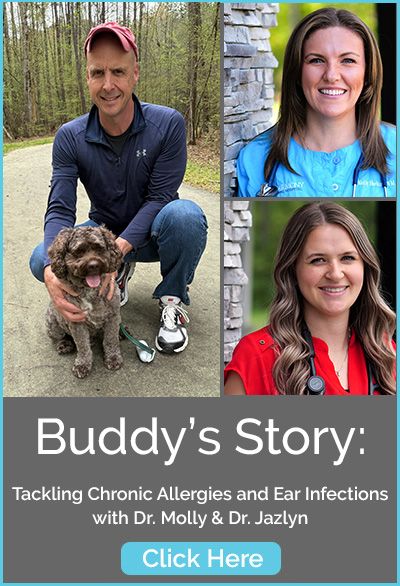 Apex NC Veterinarian Harmony Animal Hospital wins the 2020 WRAL Voter's Choice