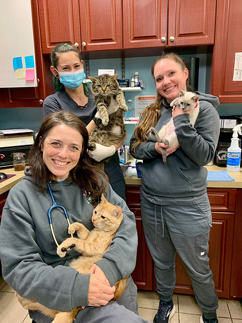 HARC staff and kitties Smaller