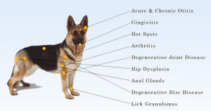 cold laser therapy